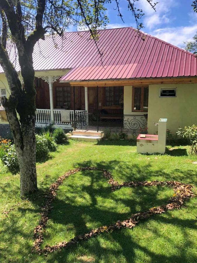 Guest House Lailashi Surmushi Exterior foto